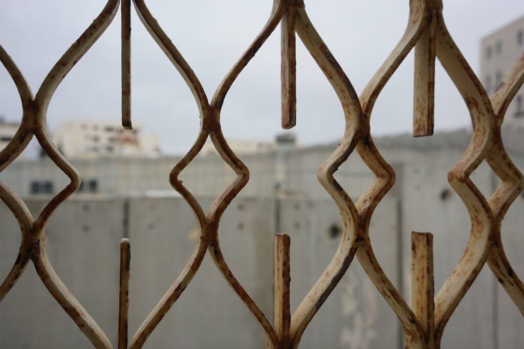 view_01