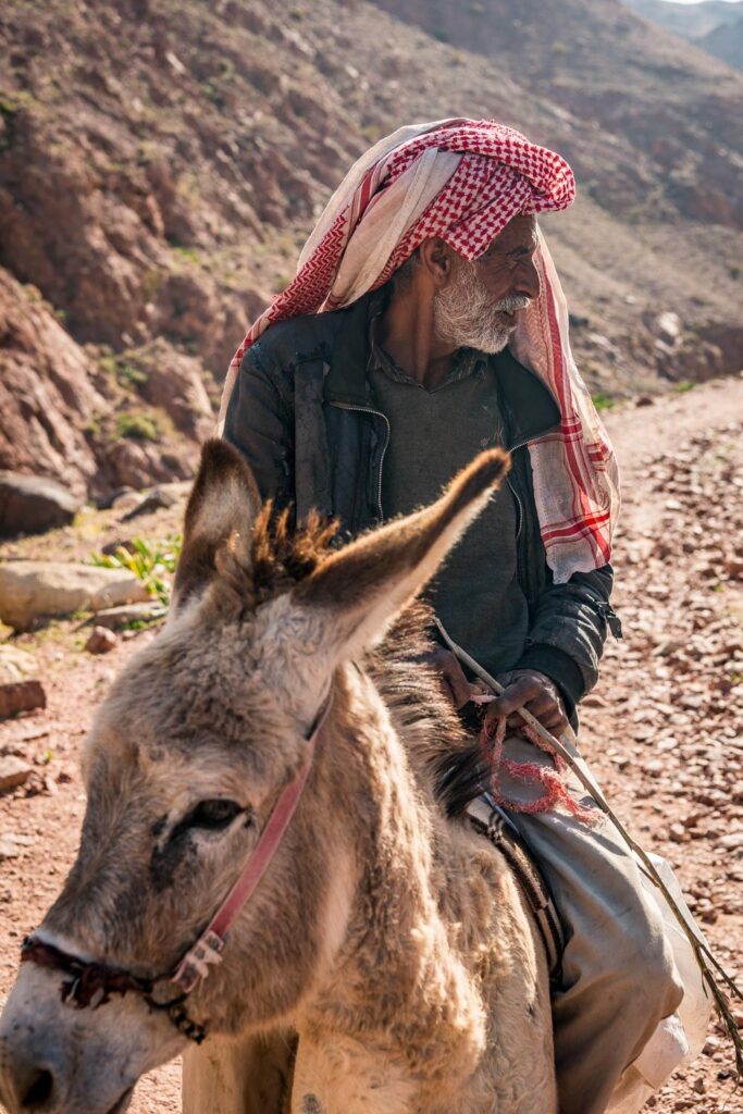 Dana-Petra-Wadi-Rum-Jordan-007