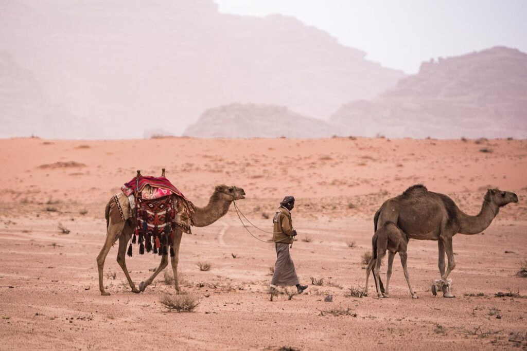 Dana-Petra-Wadi-Rum-Jordan-091