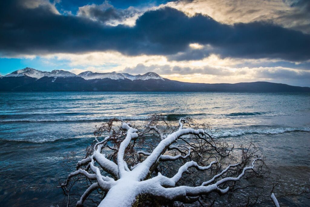 tierra-del-fuego-argentina-041