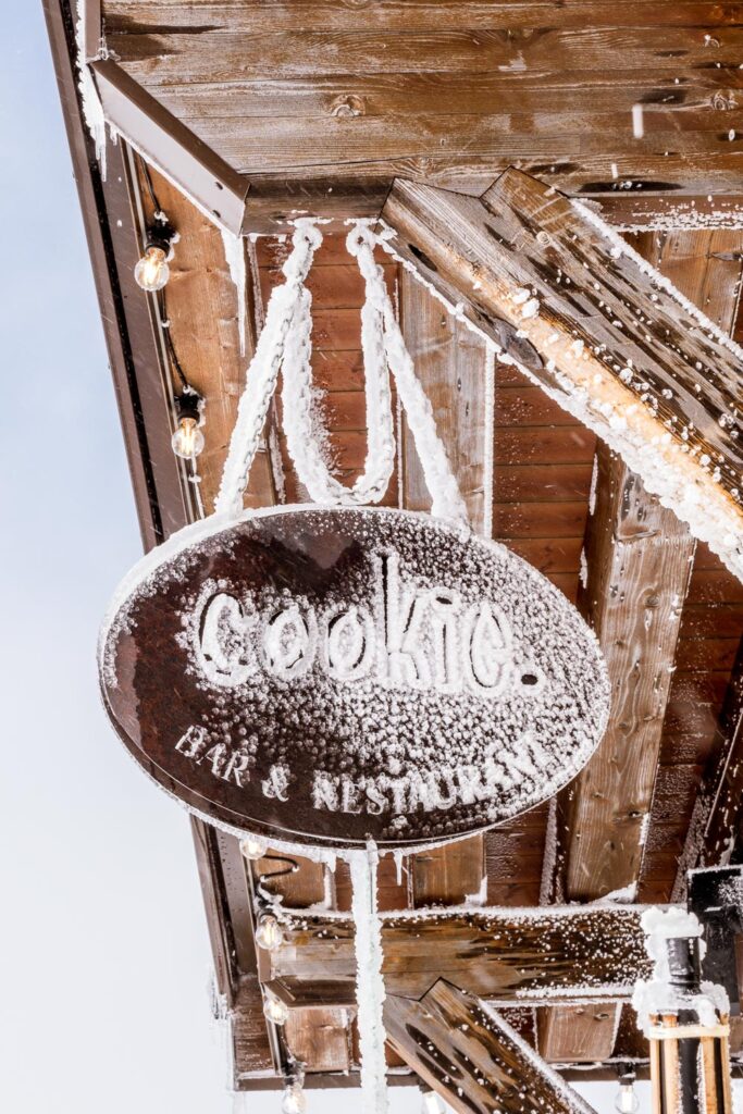 22_ Eigentijdse skihut