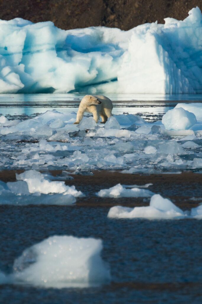 An Arctic Sailing Expedition aboard SV Tilvera in Scoresbysund, East Greenland