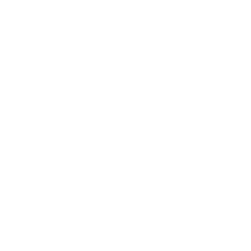 ski