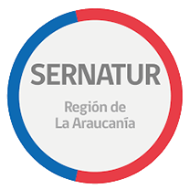 araucanialogo araucanialogo