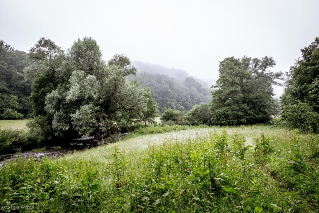 06_-Ochtend-in-het-dal-van-de-lEau-Blanche