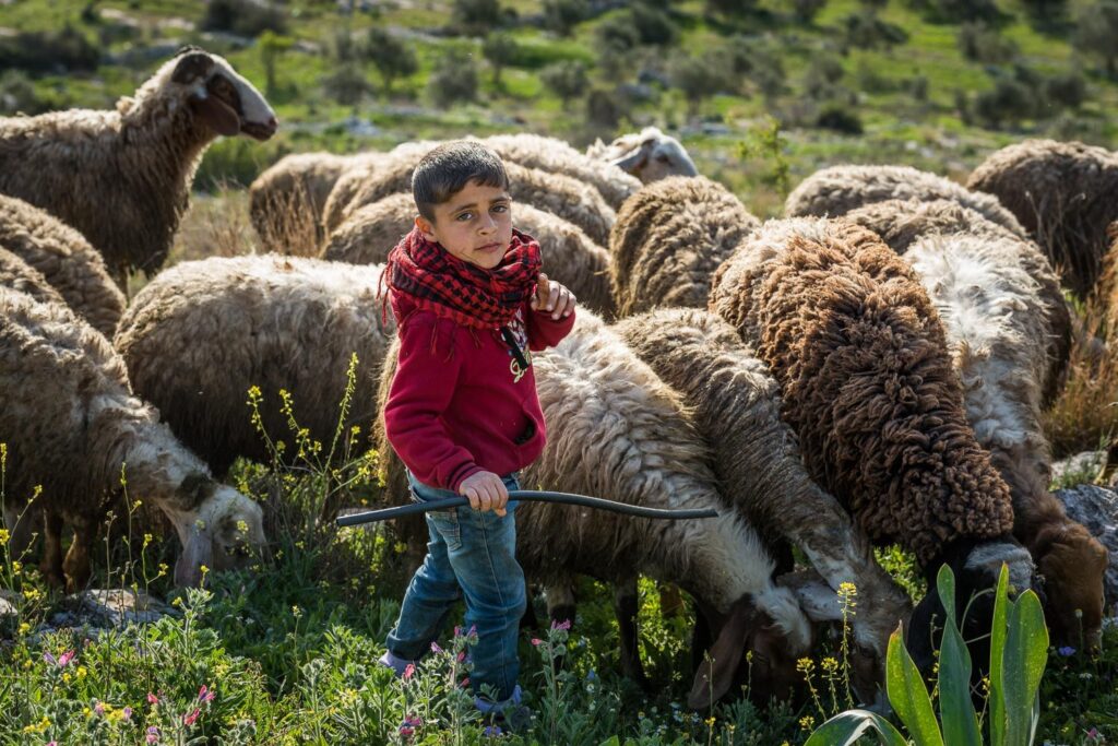 Abraham-Path-Jenin-045-2