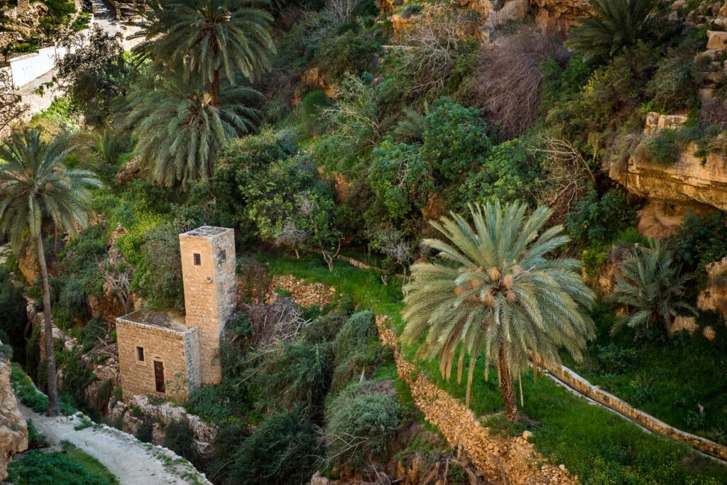 Abraham-Path-Jericho-052