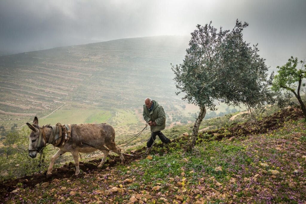 Abraham-Path-Nablus-012