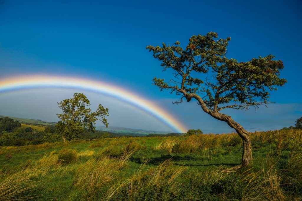 North-England-National-Parks-028-2