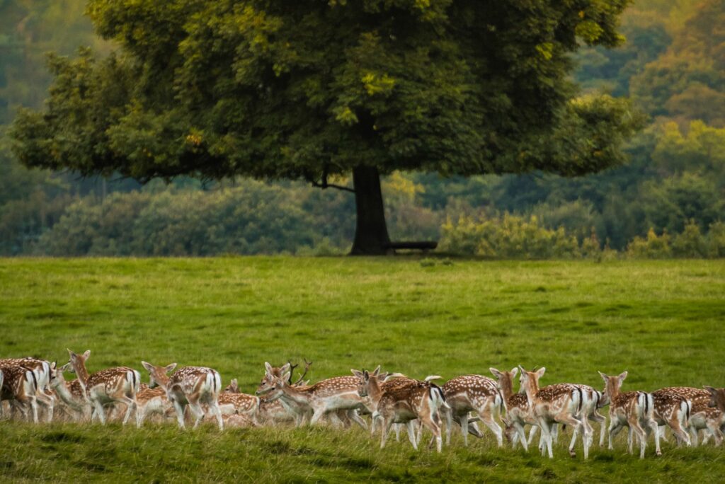 North-England-National-Parks-155