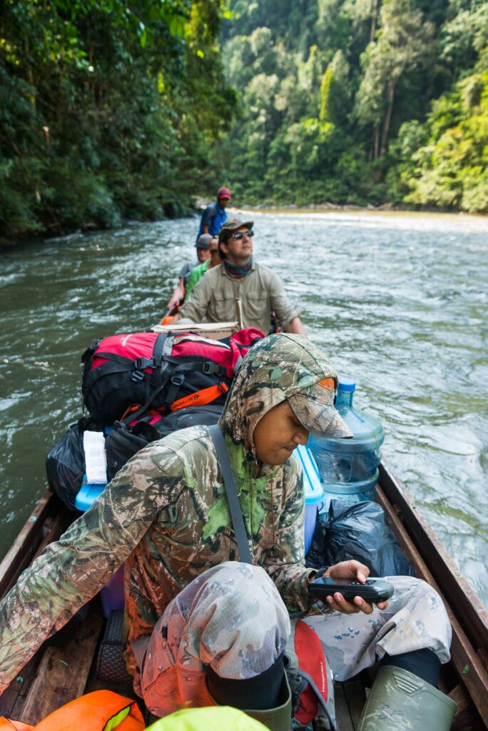Sumatran-Tiger-Indonesia-WWF-016-1
