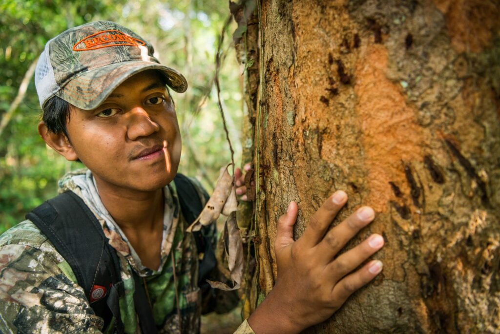 Sumatran-Tiger-Indonesia-WWF-041-1