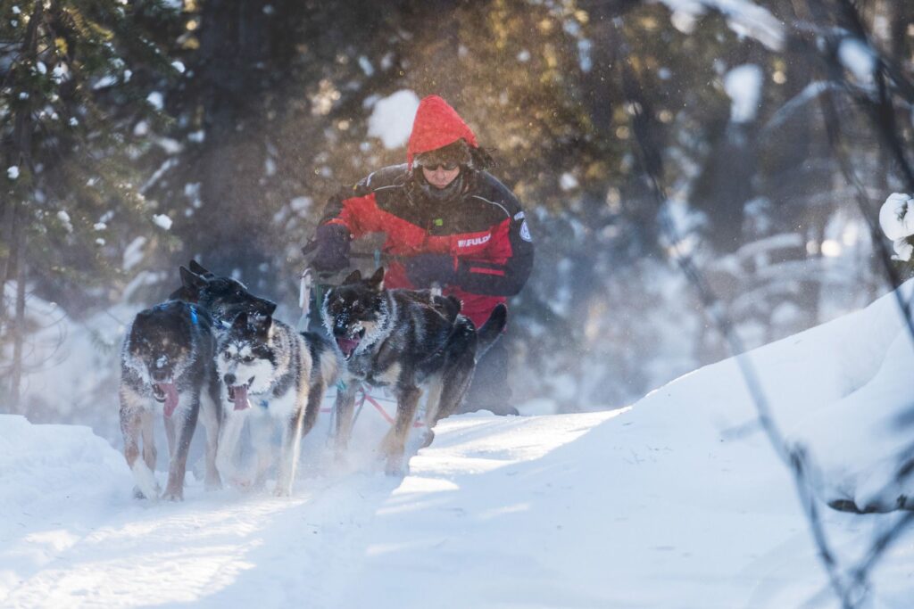 Yukon-Canada-Winter-Dog-Sledding-005