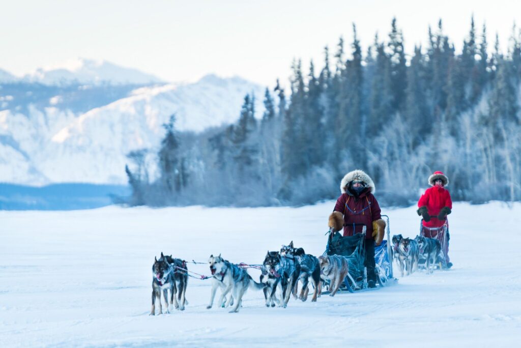 Yukon-Canada-Winter-Dog-Sledding-022