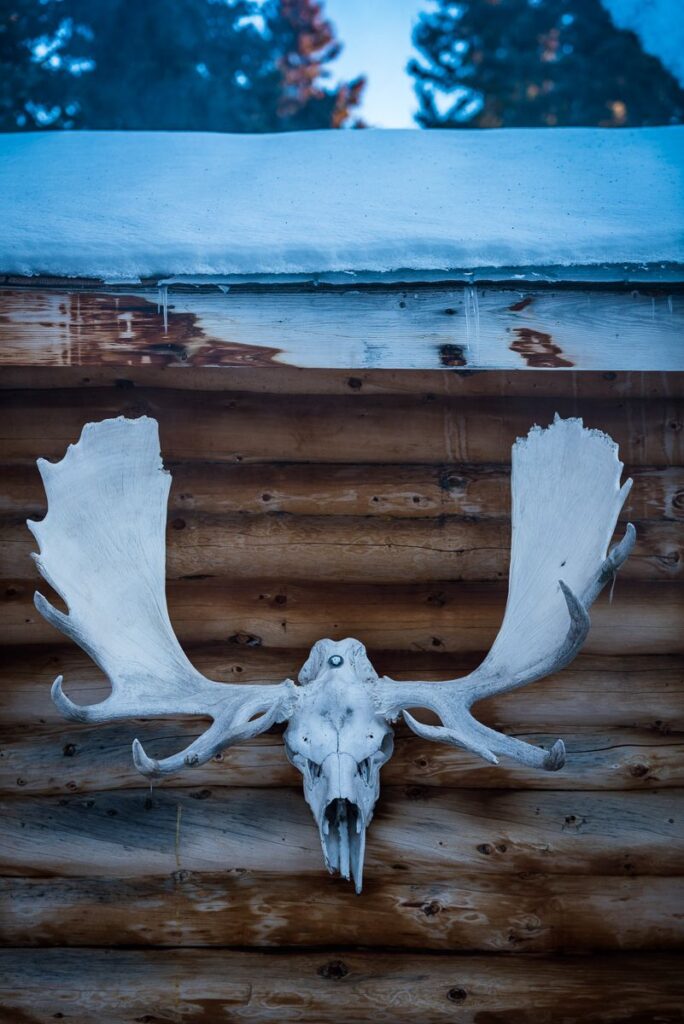 Yukon-Canada-Winter-Dog-Sledding-023