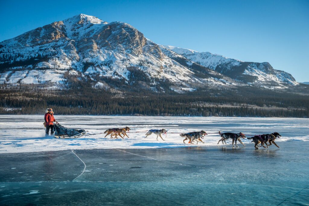 Yukon-Canada-Winter-Dog-Sledding-038