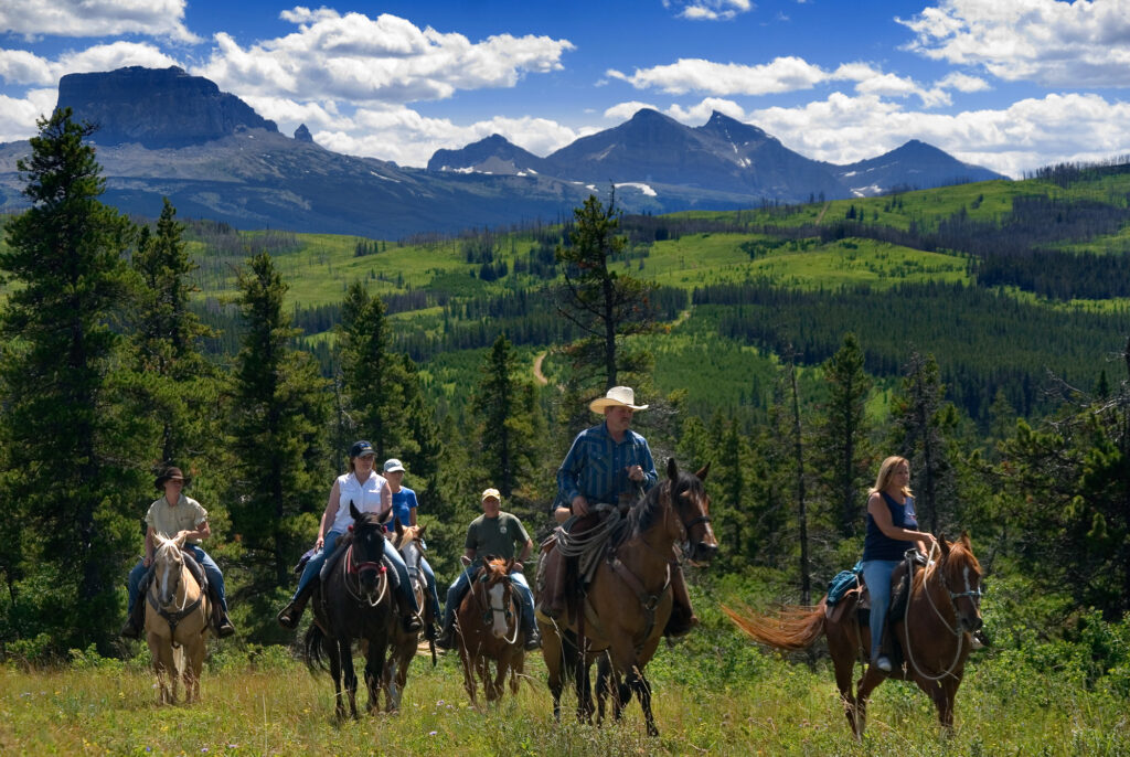 Mountain Meadow Trail Rides, Alberta, Canada
