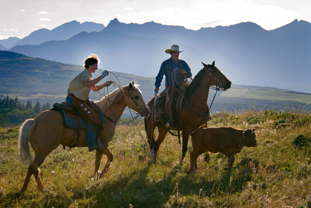 Mountain Meadow Trail Rides, Alberta, Canada