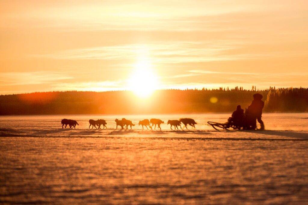 northern-soul-adventures-huskysledding-sunset
