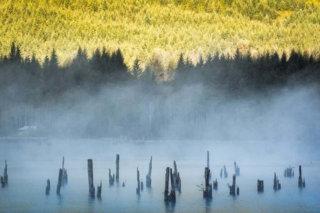 offroad-vancouver-island-canada-064