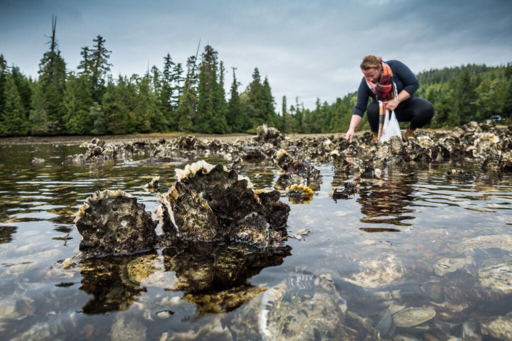 offroad-vancouver-island-canada-085