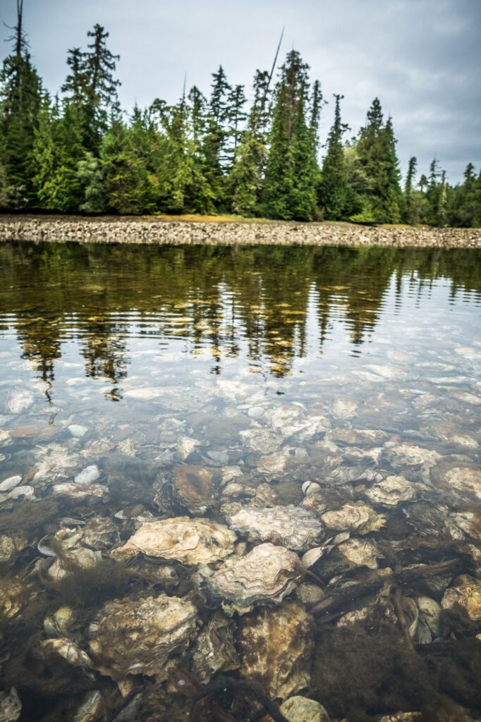 offroad-vancouver-island-canada-086