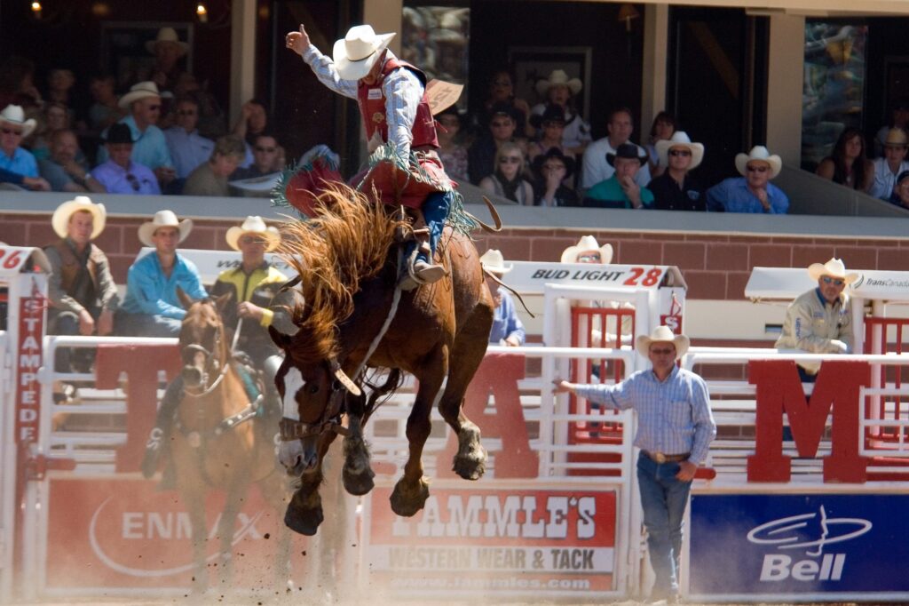 stampede004