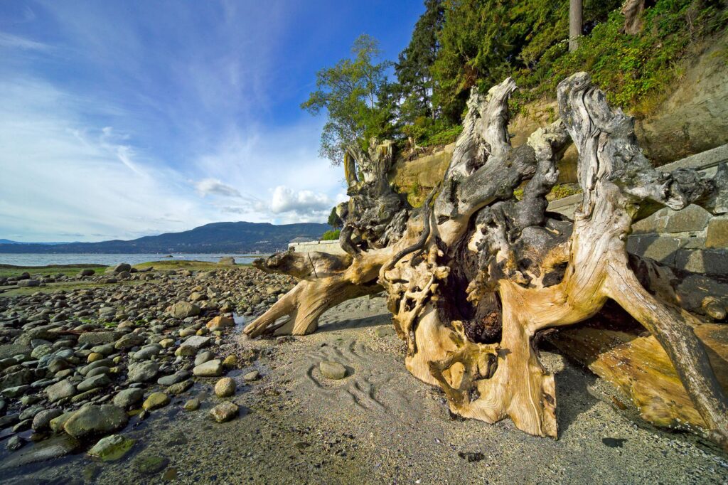 vancouver061