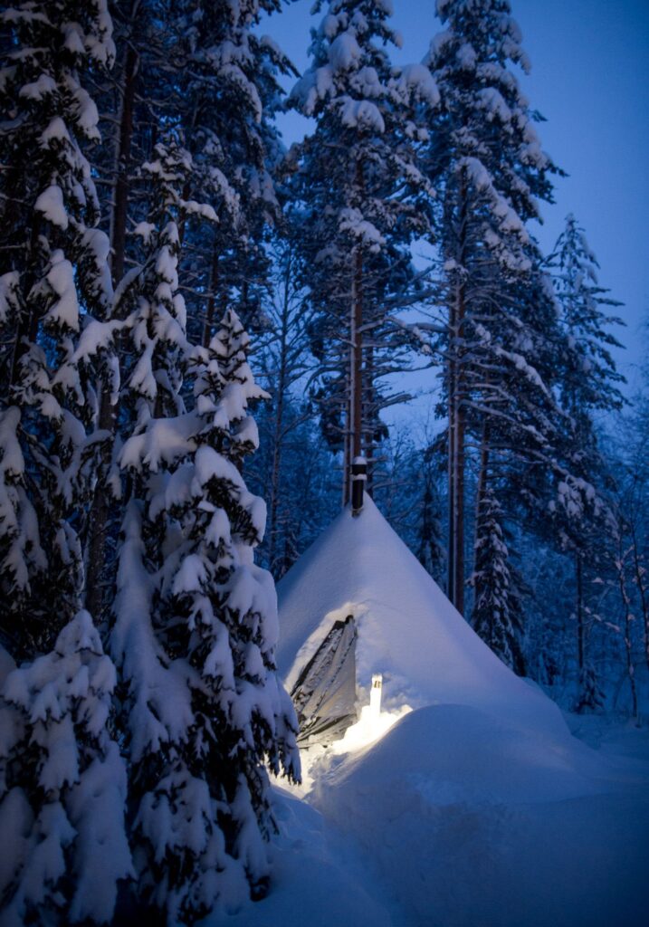 your-room-in-the-wild-2-1