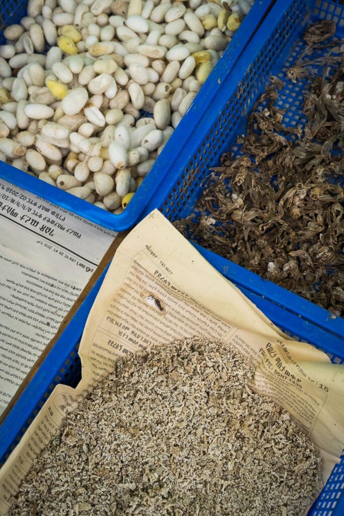 Ethiopian Silk Production at Bere Har Sericulture