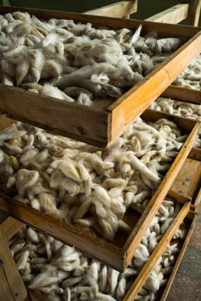 Ethiopian Silk Production at Bere Har Sericulture