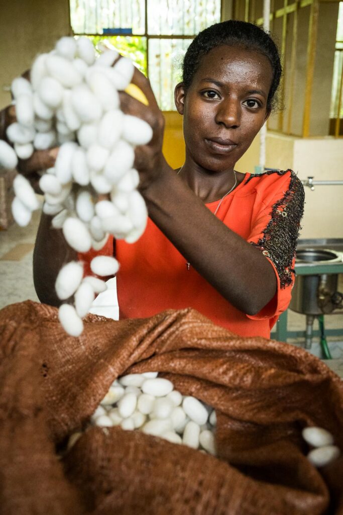 Ethiopian Silk Production at Bere Har Sericulture