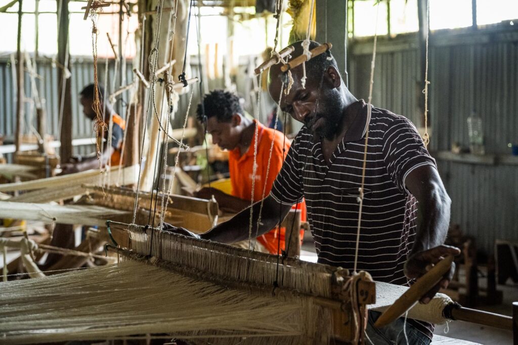 Ethiopian Silk Production at Bere Har Sericulture