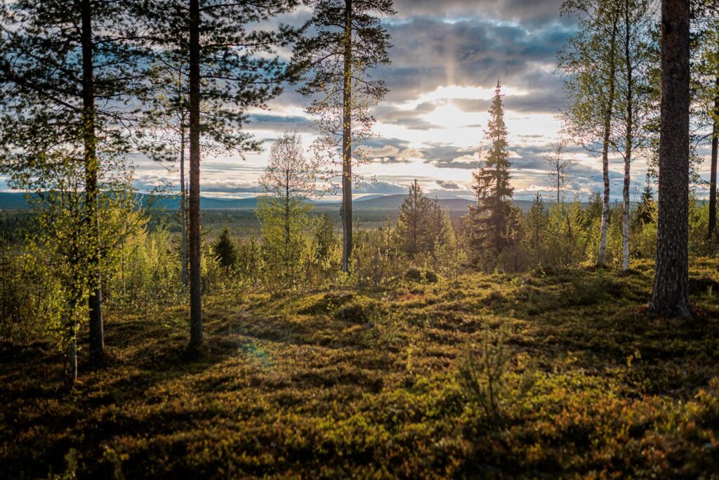 Midsummer nights in Levi, Finnish Lapland